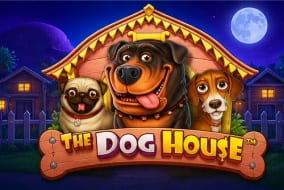 The Dog House
